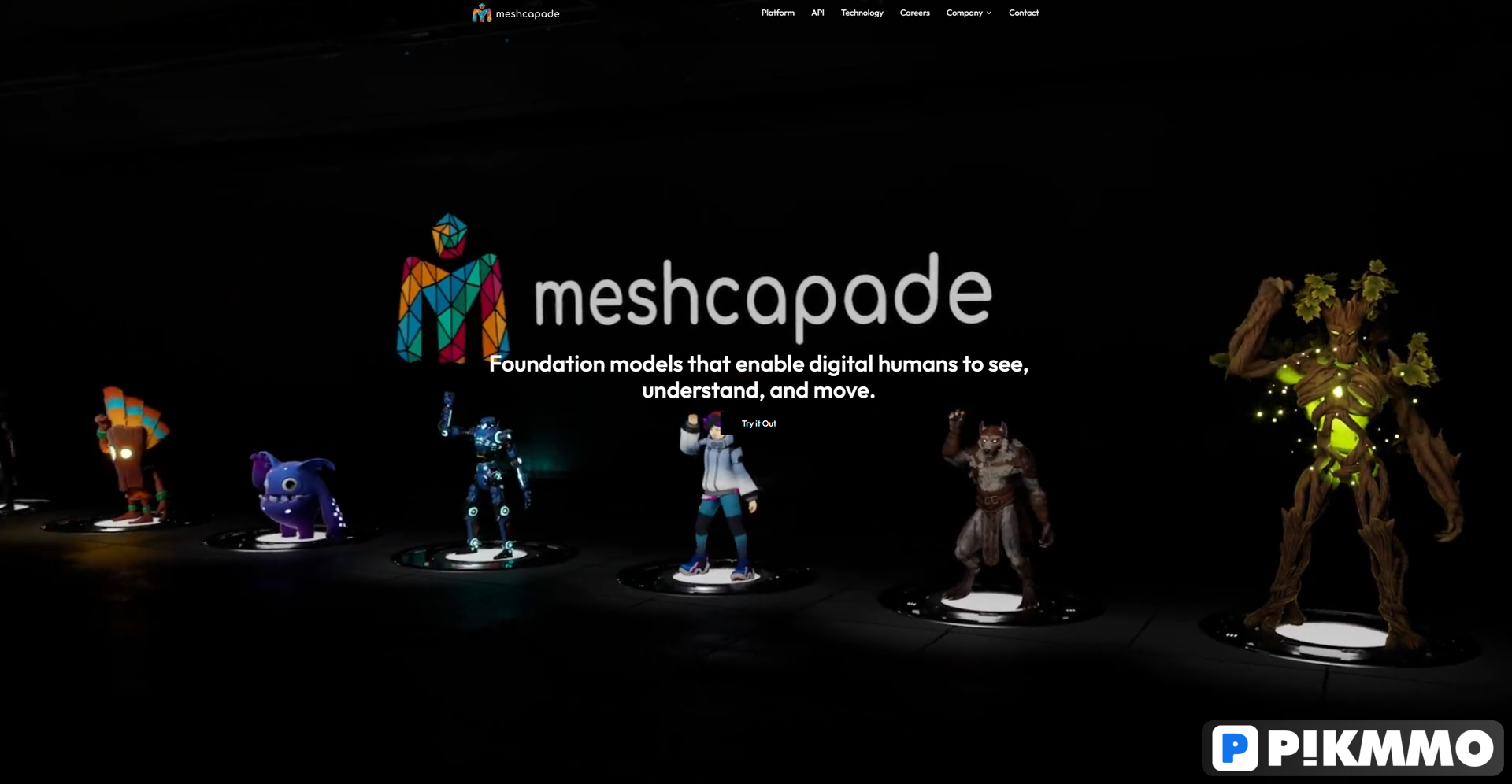 Meshcapade