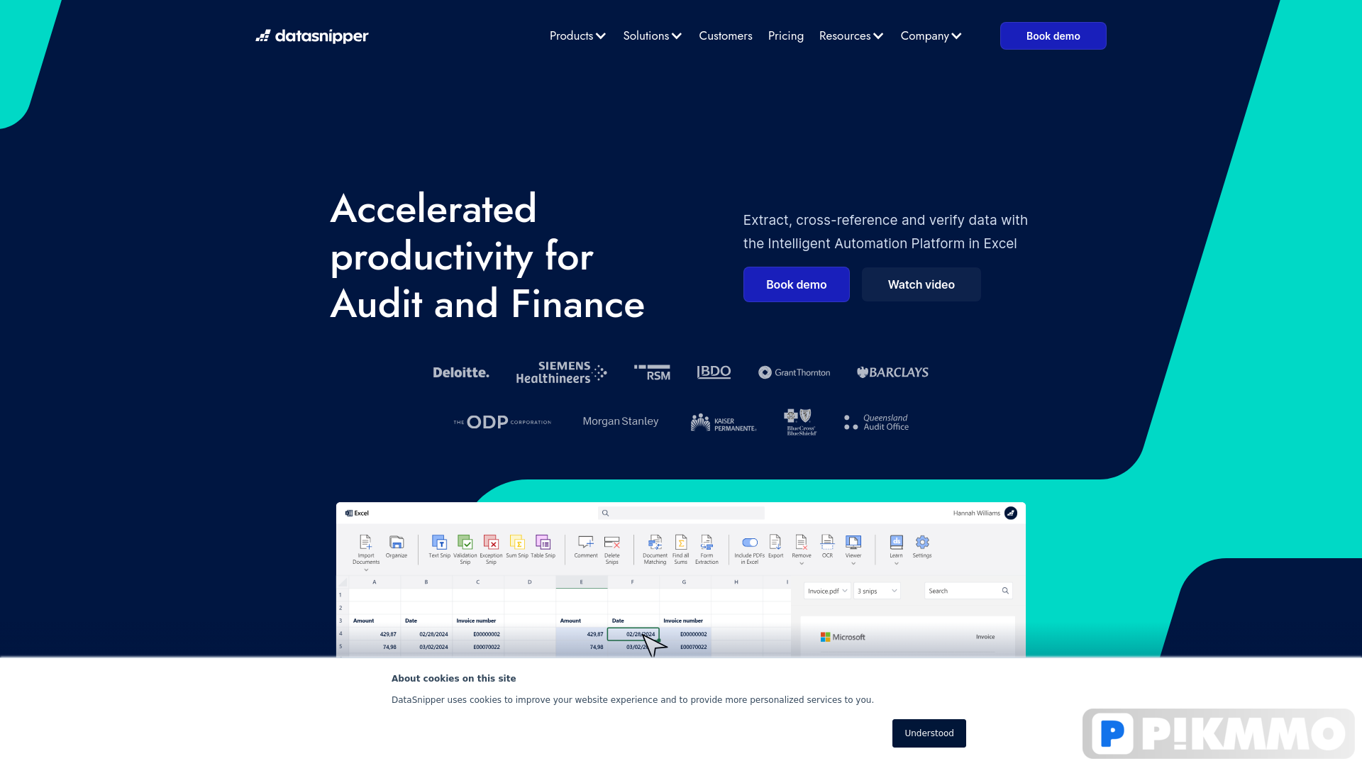 DataSnipper