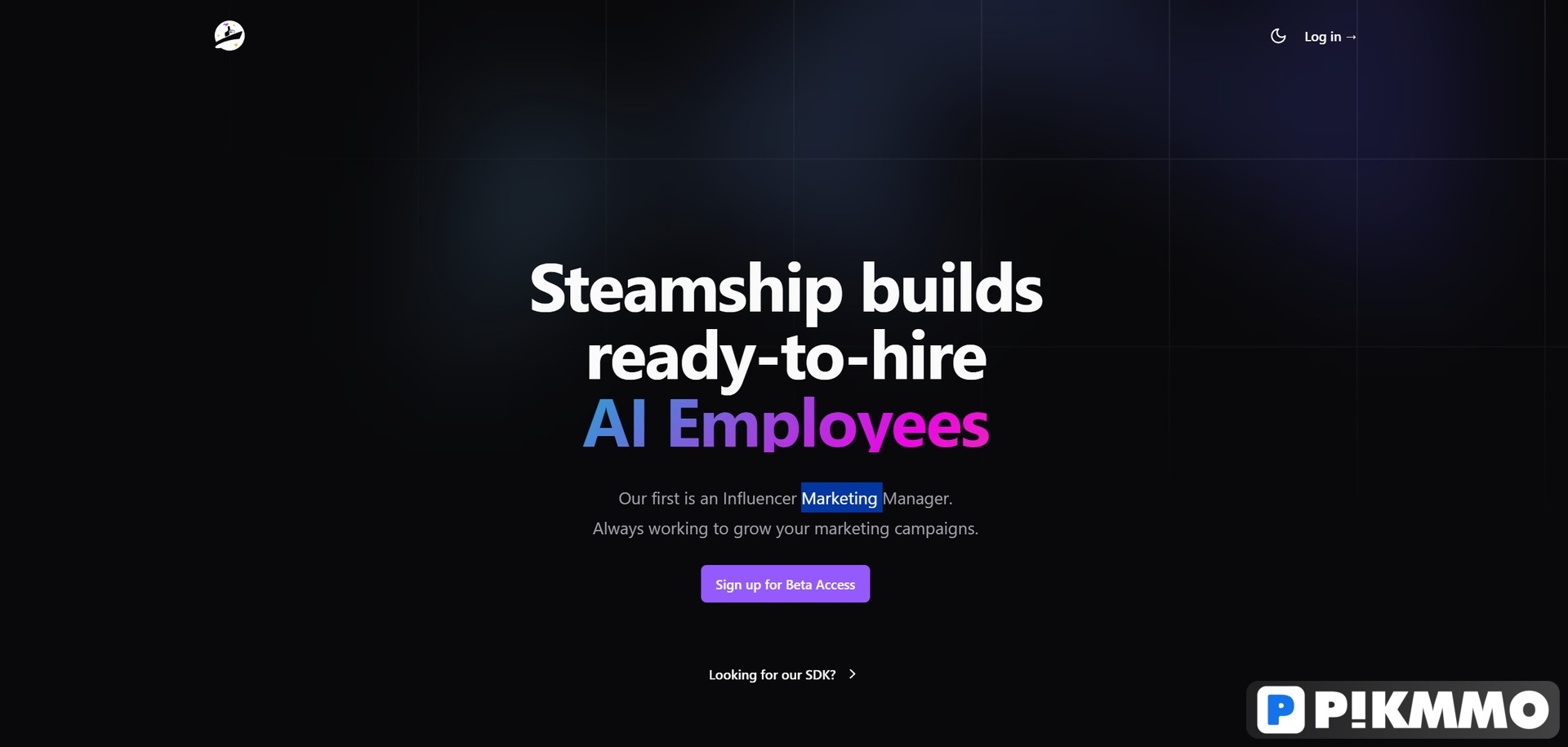 Steamship