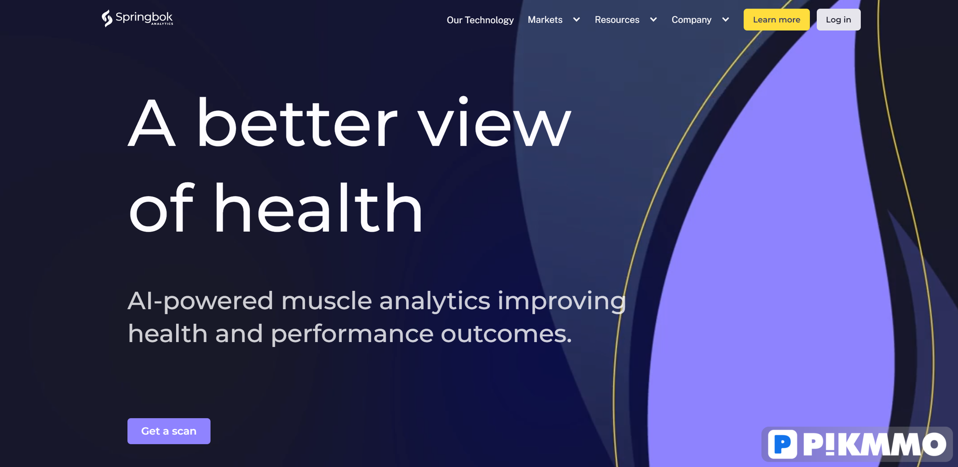 Springbok Analytics